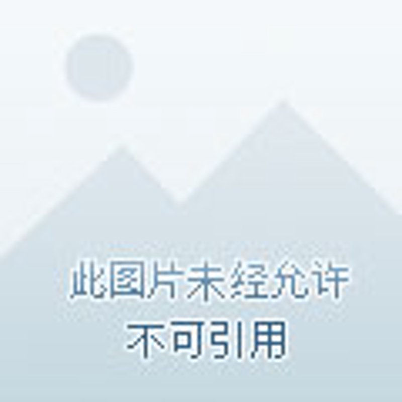 服装塑料包装袋的未来趋势解读